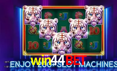 win44bet: A Experiência de Casino com Jogos de Mesa ao Vivo